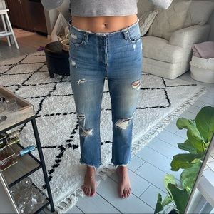 Express Low Rise Jeans